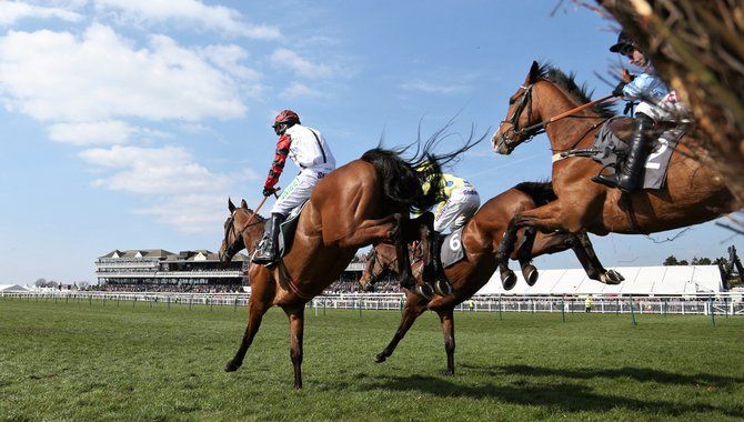 12 75 million bets placed with Entain at Grand National